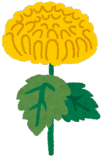 仏花